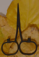 Pumpkin Scissors