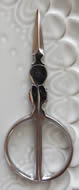 Silver Roly Poly