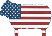 USA Flag Sheep Needle Minder